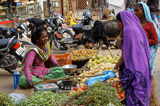 Sur la route d'Orchha-104